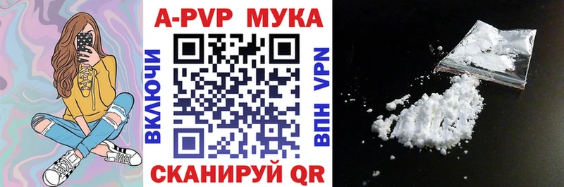 цена   Плёс  APVP VHQ 