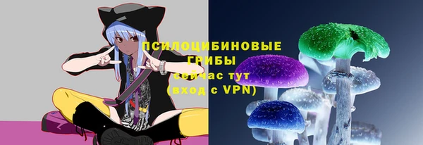 стаф Волоколамск