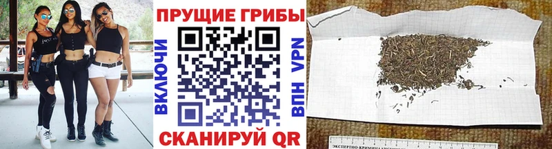 mega ССЫЛКА Плёс Галлюциногенные грибы ЛСД